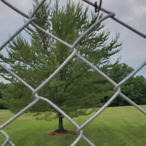 Chain Link Fence Near Me Collinsville, IL